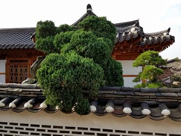 Bukchon Hanok Village