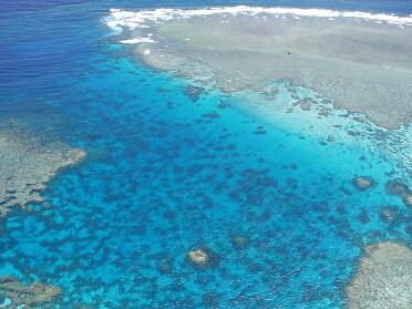 Arincourt Reef