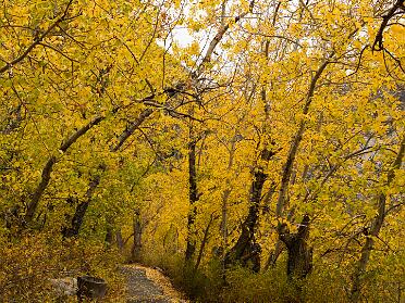 Convict Lake