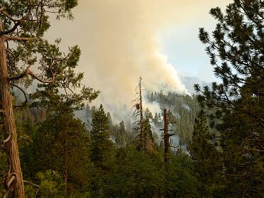 Sequoia and Kings Canyon