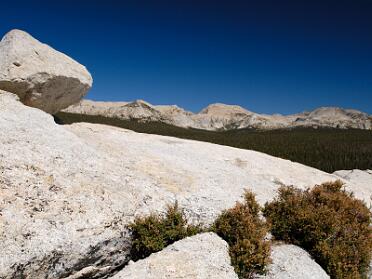 Tuolumne Meadows