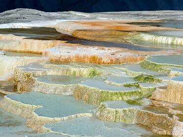 Mammoth Hot Springs